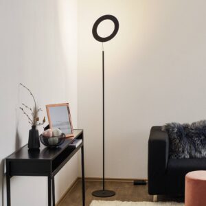 ICONE Vera ST – stojací lampa LED, černá
