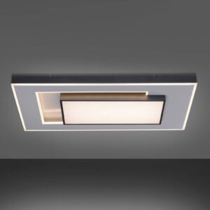 Paul Neuhaus Q-Alta LED stropní světlo, 100x55cm
