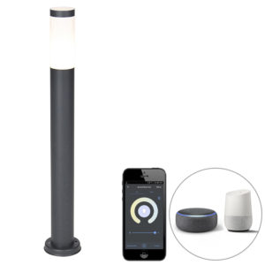 Smart buitenlamp paal antraciet 80 cm incl. Wifi P45 – Rox