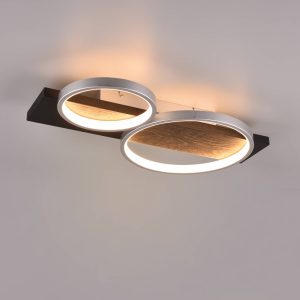LED stropní světlo Medera, dva zdroje, titan